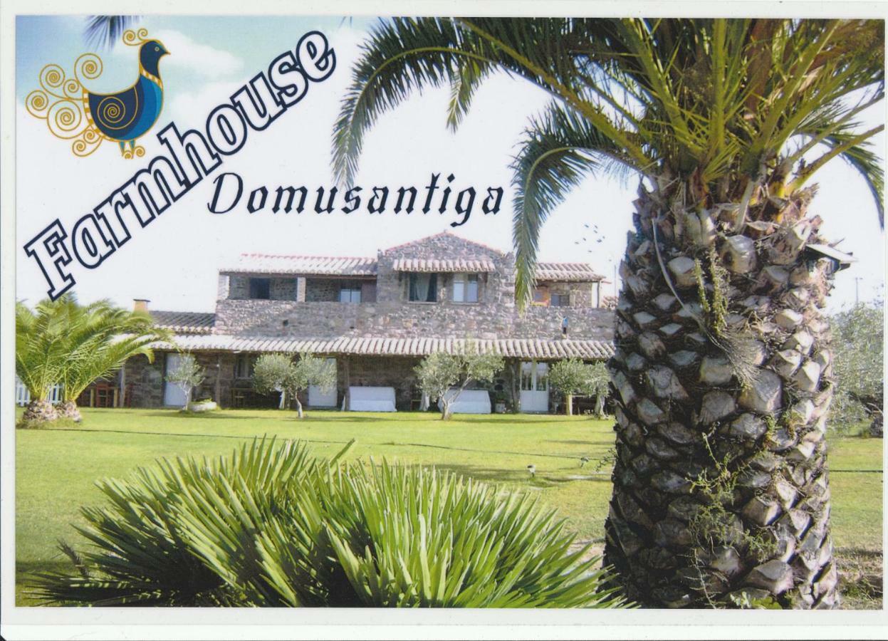 Domus Antiga Appartamenti San Giovanni Suèrgiu Exterior foto